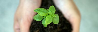 blog/2025/growing-plant.jpg