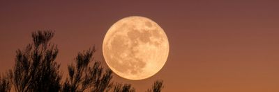 blog/2025/full-moon.jpg